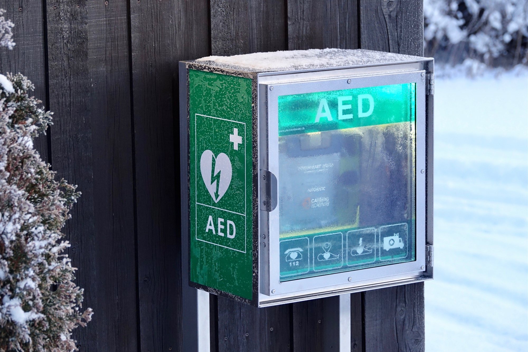 HeartGuard Polar på træfacade i frost